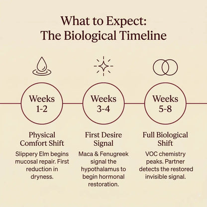The Signal Restoration Protocol™